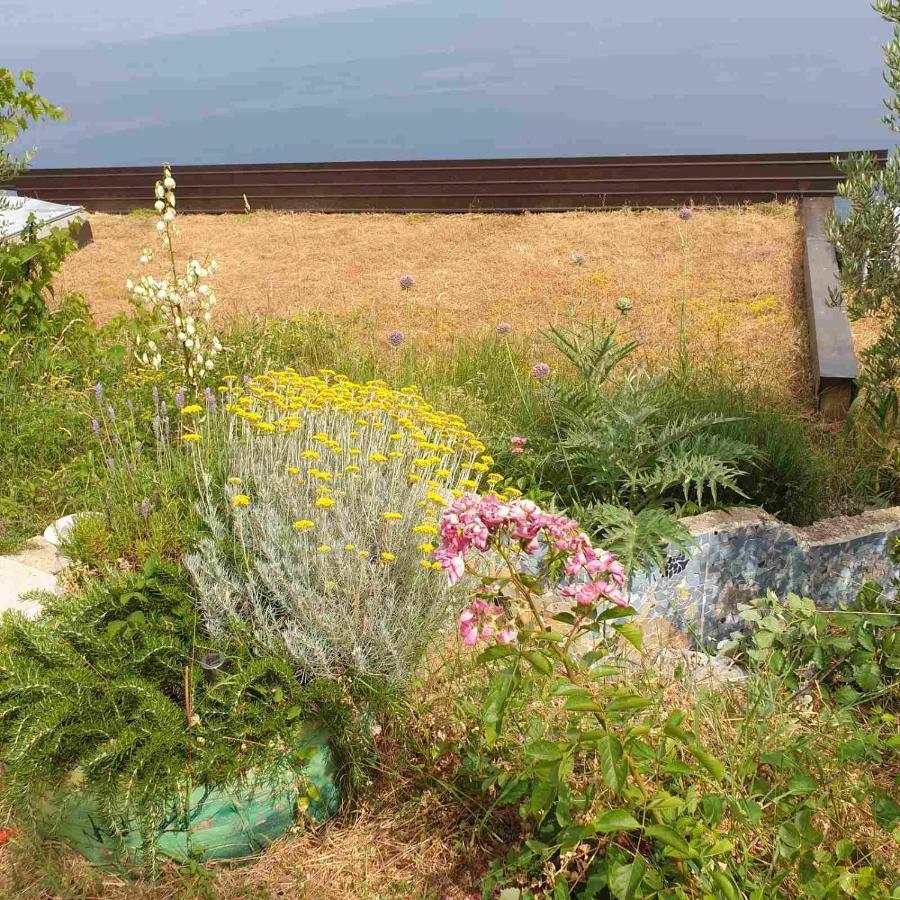Mary'S Garden Villa Tulisevica Exteriör bild